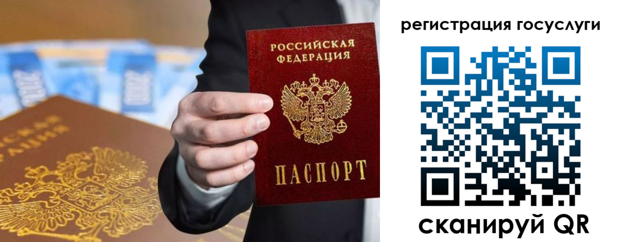 прописка в Ленинградской области